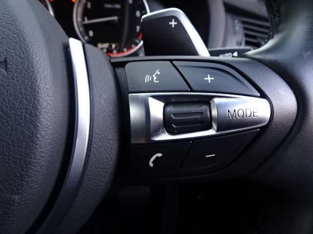 ＢＭＷ Ｘ４ Ｘドライブ２８Ｉ Ｍスポーツ ４ＷＤ H29年 (近畿) 99