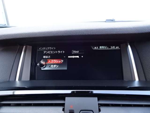 ＢＭＷ Ｘ４ Ｘドライブ２８Ｉ Ｍスポーツ ４ＷＤ H29年 (近畿) 99