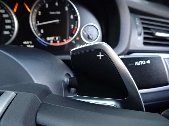 ＢＭＷ Ｘ４ Ｘドライブ２８Ｉ Ｍスポーツ ４ＷＤ H29年 (近畿) 99