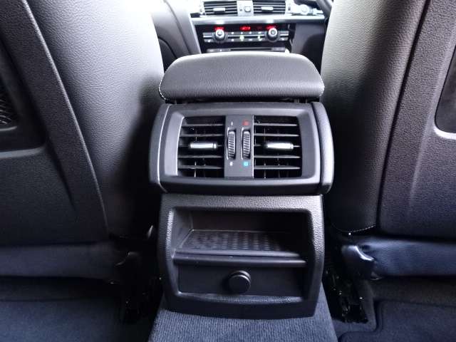 ＢＭＷ Ｘ４ Ｘドライブ２８Ｉ Ｍスポーツ ４ＷＤ H29年 (近畿) 99