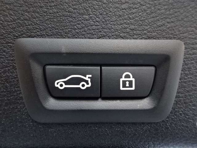 ＢＭＷ Ｘ４ Ｘドライブ２８Ｉ Ｍスポーツ ４ＷＤ H29年 (近畿) 99