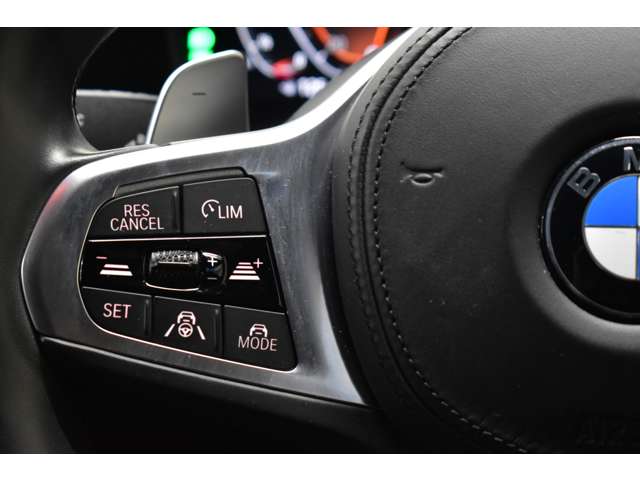 ＢＭＷ ３シリーズ ３２０ｉ　Ｍスポーツ R1年 (関東) 99