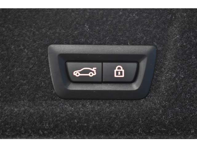 ＢＭＷ ３シリーズ ３２０ｉ　Ｍスポーツ R1年 (関東) 99