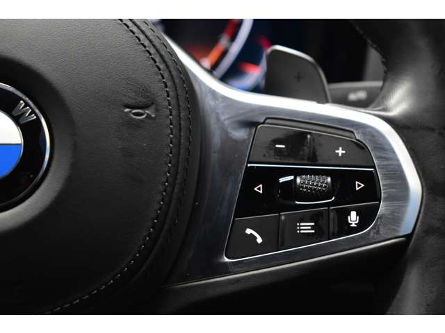 ＢＭＷ ３シリーズ ３２０ｉ　Ｍスポーツ R1年 (関東) 99