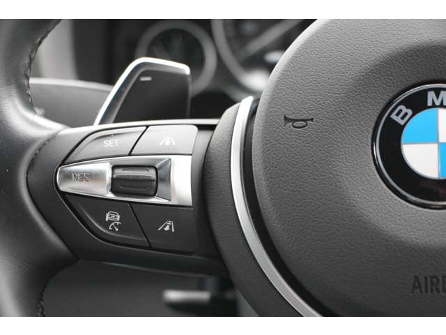 ＢＭＷ Ｘ３ Ｘドライブ２０Ｄ Ｍスポーツ ディーゼルターボ ４ＷＤ H29年 (関東) 99