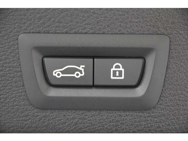 ＢＭＷ Ｘ３ Ｘドライブ２０Ｄ Ｍスポーツ ディーゼルターボ ４ＷＤ H29年 (関東) 99