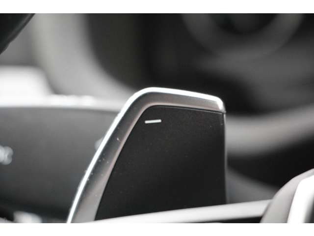 ＢＭＷ Ｘ３ Ｘドライブ２０Ｄ Ｍスポーツ ディーゼルターボ ４ＷＤ H29年 (関東) 99