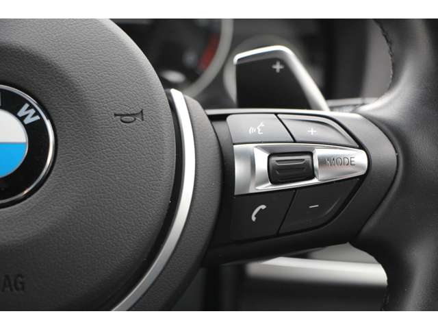 ＢＭＷ Ｘ３ Ｘドライブ２０Ｄ Ｍスポーツ ディーゼルターボ ４ＷＤ H29年 (関東) 99