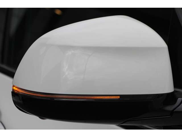 ＢＭＷ Ｘ３ Ｘドライブ２０Ｄ Ｍスポーツ ディーゼルターボ ４ＷＤ H29年 (関東) 99