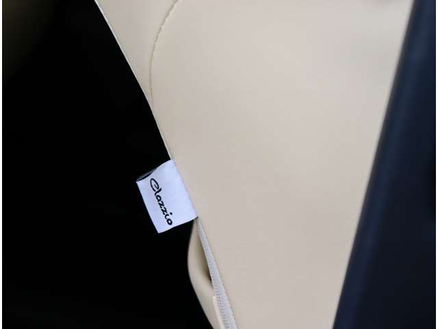 トヨタ アルファード ２．５ Ｘ H28年 (関東) 99