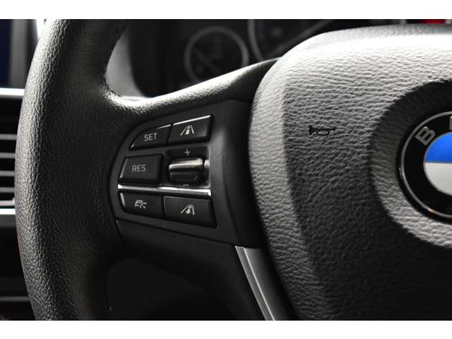 ＢＭＷ Ｘ３ Ｘドライブ２０Ｄ Ｘライン ディーゼルターボ ４ＷＤ H28年 (関東) 99