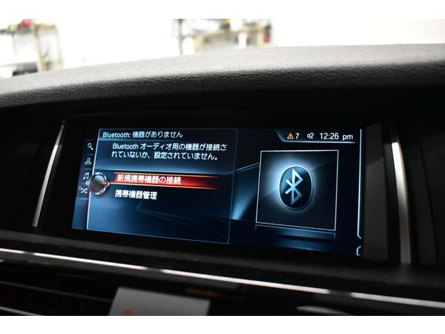 ＢＭＷ Ｘ３ Ｘドライブ２０Ｄ Ｘライン ディーゼルターボ ４ＷＤ H28年 (関東) 99