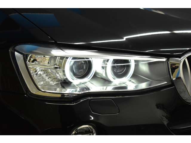 ＢＭＷ Ｘ３ Ｘドライブ２０Ｄ Ｘライン ディーゼルターボ ４ＷＤ H28年 (関東) 99