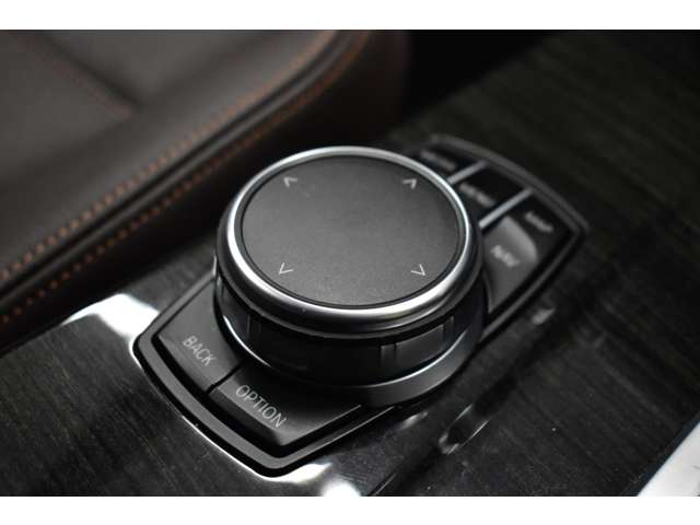 ＢＭＷ Ｘ３ Ｘドライブ２０Ｄ Ｘライン ディーゼルターボ ４ＷＤ H28年 (関東) 99