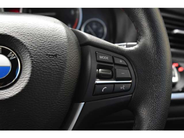 ＢＭＷ Ｘ３ Ｘドライブ２０Ｄ Ｘライン ディーゼルターボ ４ＷＤ H28年 (関東) 99