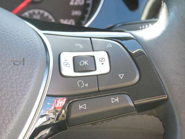 フォルクスワーゲン ゴルフヴァリアント ＴＳＩ　ハイライン H26年 (関東) 99