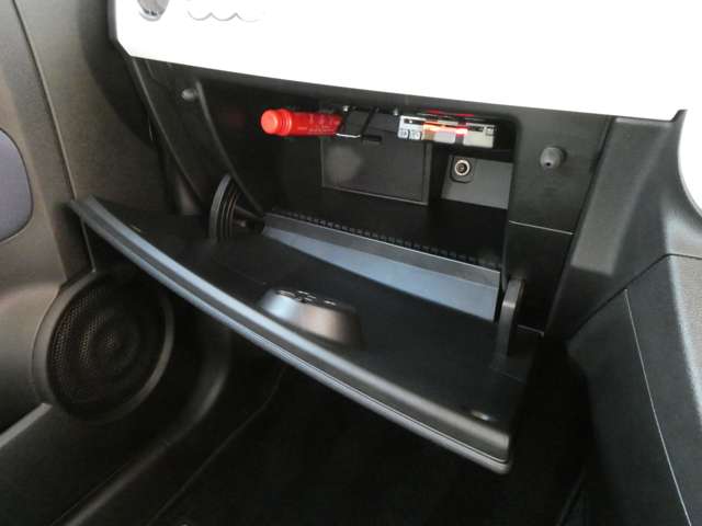 フィアット ５００（チンクエチェント） ツインエア カルト R4年 (関東) 99