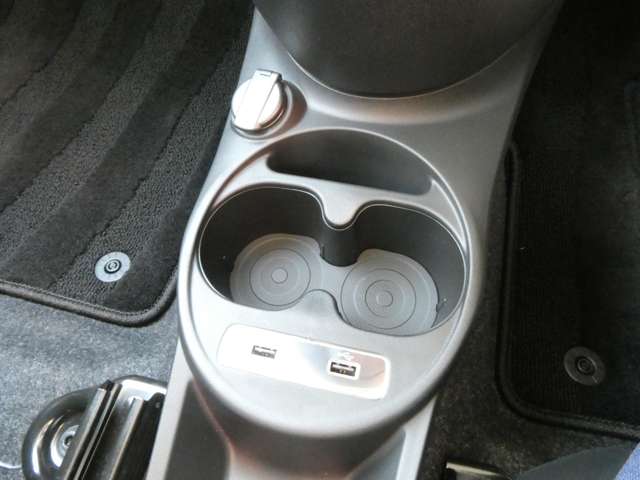 フィアット ５００（チンクエチェント） ツインエア カルト R4年 (関東) 99