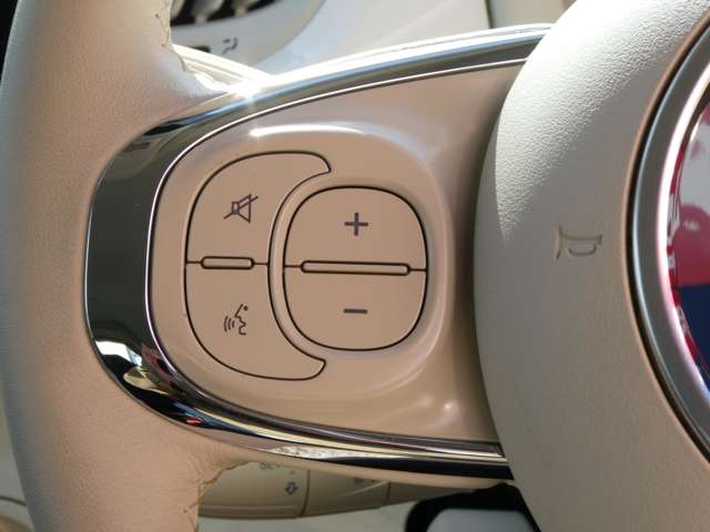 フィアット ５００（チンクエチェント） ツインエア カルト R4年 (関東) 99