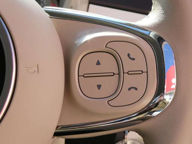 フィアット ５００（チンクエチェント） ツインエア カルト R4年 (関東) 99