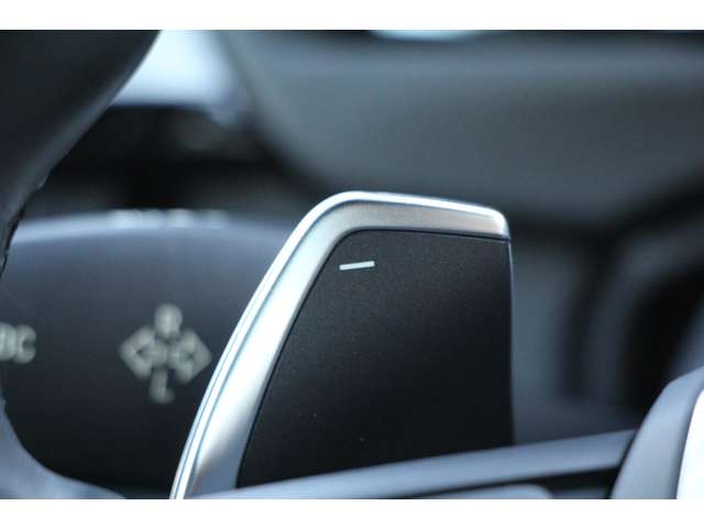 ＢＭＷ ４シリーズ ４２０Ｉ Ｍスポーツ H27年 (関東) 99