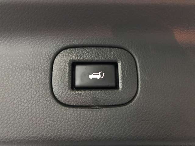 日産 エルグランド ３．５ ３５０ハイウェイスター アーバンクロム ４ＷＤ R1年 (北海道) 99