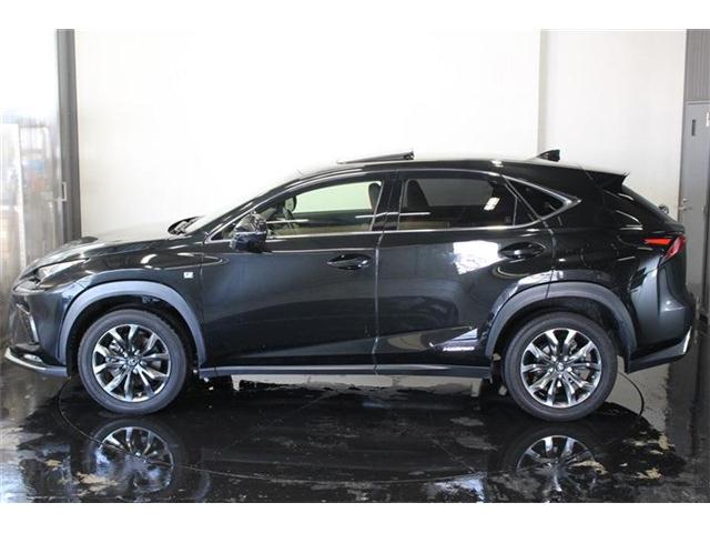 レクサス ＮＸ３００ｈ ３００Ｈ Ｆスポーツ ４ＷＤ H29年 (北海道) 99