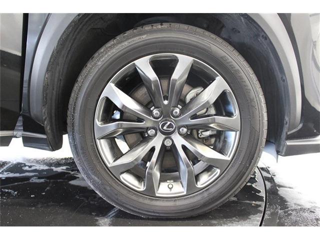 レクサス ＮＸ３００ｈ ３００Ｈ Ｆスポーツ ４ＷＤ H29年 (北海道) 99