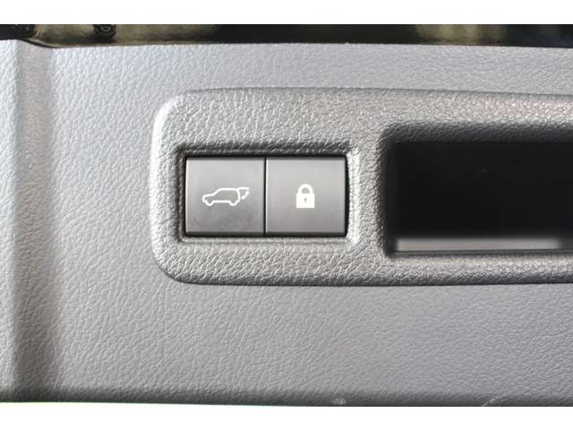 レクサス ＮＸ３００ｈ ３００Ｈ Ｆスポーツ ４ＷＤ H29年 (北海道) 99