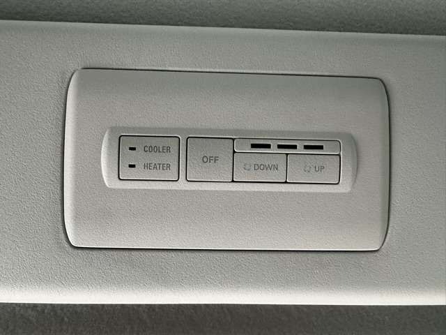 三菱 デリカ　Ｄ：５ ２．２ シャモニー 電動サイドステップ装着車 ディーゼルターボ ４ＷＤ R5年 (東海) 99