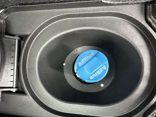 三菱 デリカ　Ｄ：５ ２．２ シャモニー 電動サイドステップ装着車 ディーゼルターボ ４ＷＤ R5年 (東海) 99