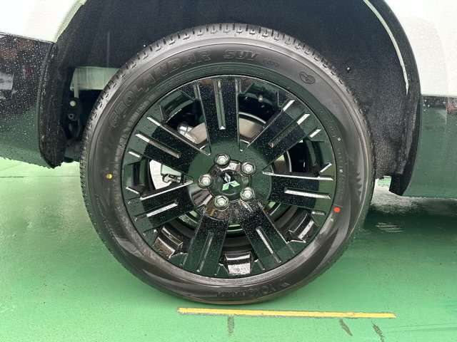 三菱 デリカ　Ｄ：５ ２．２ シャモニー 電動サイドステップ装着車 ディーゼルターボ ４ＷＤ R5年 (東海) 99