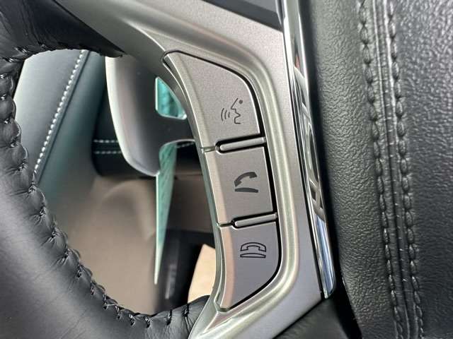 三菱 デリカ　Ｄ：５ ２．２ シャモニー 電動サイドステップ装着車 ディーゼルターボ ４ＷＤ R5年 (東海) 99