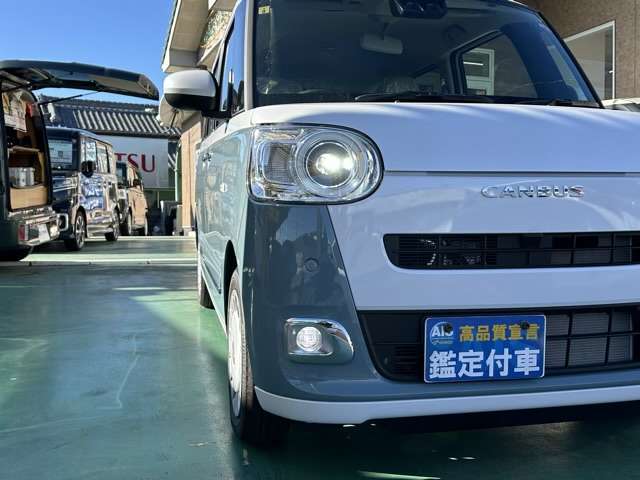 ダイハツ ムーヴ　キャンバス ６６０ ストライプス Ｇ R5年 (東海) 99