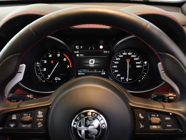 アルファロメオ ステルヴィオ ２．０ ターボ Ｑ４ ヴェローチェ ４ＷＤ R4年 (関東) 99