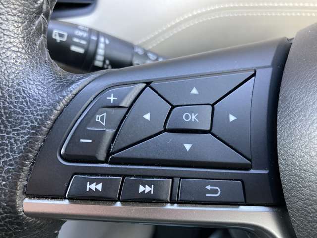 日産 セレナ ２．０ Ｇ ４ＷＤ H28年 (東北) 99