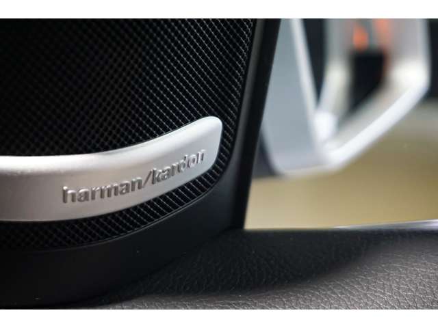 メルセデスベンツ Ｂクラス Ｂ２５０ ４マティック スポーツ ４ＷＤ H28年 (北海道) 99