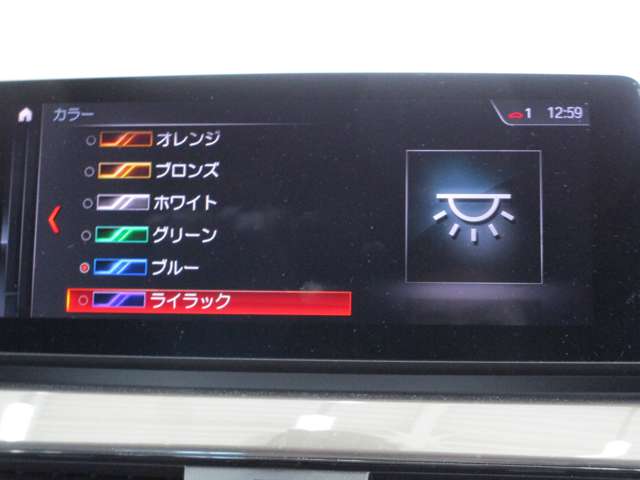 ＢＭＷ Ｘ１ Ｘドライブ １８Ｄ Ｘライン ４ＷＤ R2年 (近畿) 99