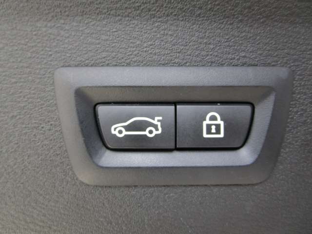 ＢＭＷ Ｘ１ Ｘドライブ １８Ｄ Ｘライン ４ＷＤ R2年 (近畿) 99