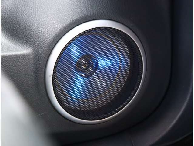 スズキ ワゴンＲ ６６０ スティングレー リミテッド H24年 (関東) 99