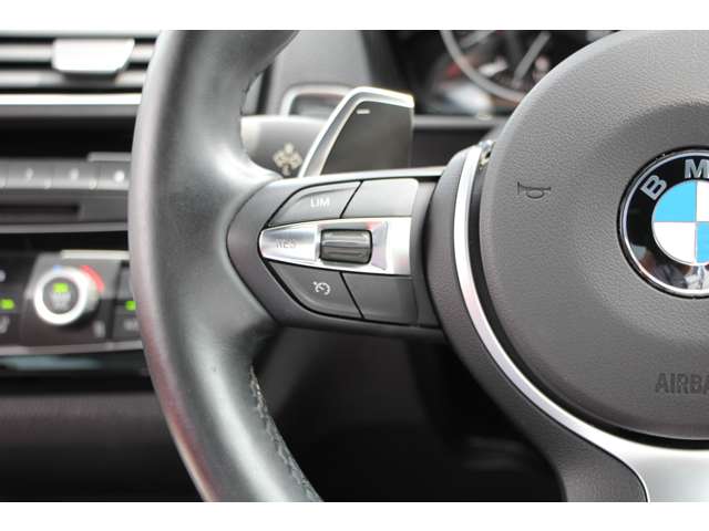 ＢＭＷ ２シリーズ Ｍ２３５Ｉ H27年 (関東) 99