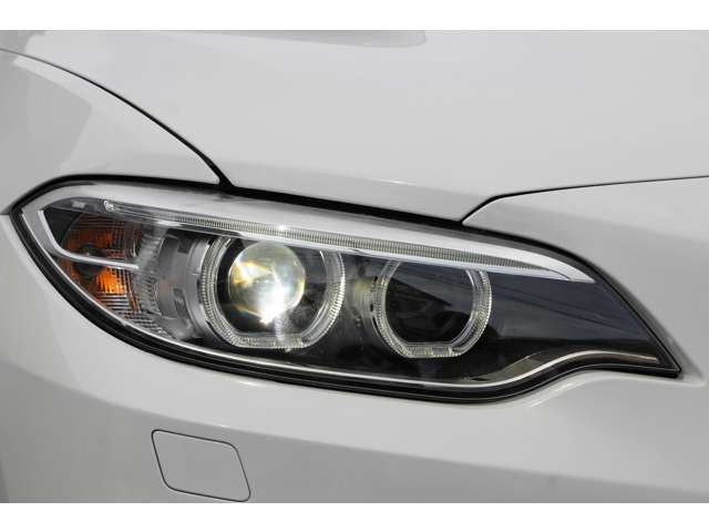 ＢＭＷ ２シリーズ Ｍ２３５Ｉ H27年 (関東) 99