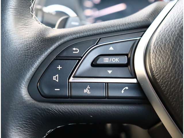 日産 スカイライン ３．０ ＧＴ タイプＳＰ R1年 (関東) 99