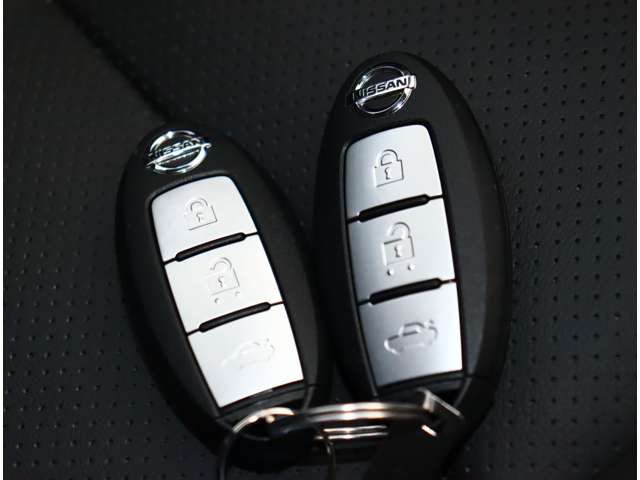 日産 スカイライン ３．０ ＧＴ タイプＳＰ R1年 (関東) 99