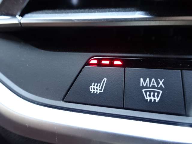 ＢＭＷ Ｘ５ Ｘドライブ ３５Ｄ Ｍスポーツ ４ＷＤ R3年 (近畿) 99