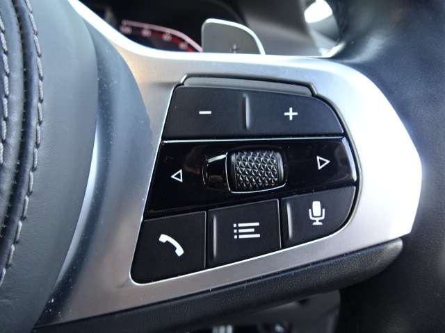 ＢＭＷ Ｘ５ Ｘドライブ ３５Ｄ Ｍスポーツ ４ＷＤ R3年 (近畿) 99