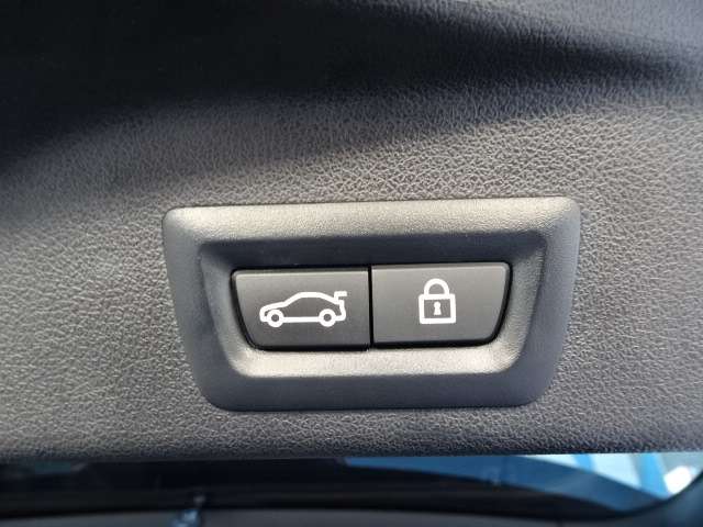 ＢＭＷ Ｘ５ Ｘドライブ ３５Ｄ Ｍスポーツ ４ＷＤ R3年 (近畿) 99