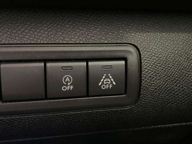 プジョー ３０８ ＧＴライン ブルーＨＤＩ ブラック パック ディーゼルターボ R1年 (中国) 99