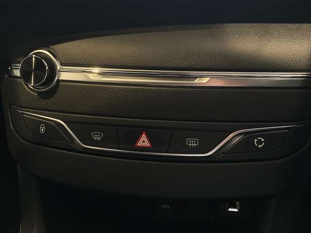 プジョー ３０８ ＧＴライン ブルーＨＤＩ ブラック パック ディーゼルターボ R1年 (中国) 99