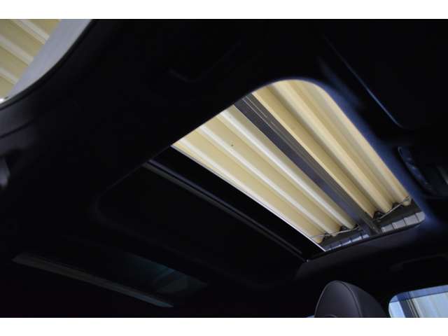 メルセデスベンツ ＧＬＣクラス ２５０ ４マチック エディション１ ４ＷＤ H28年 (関東) 99